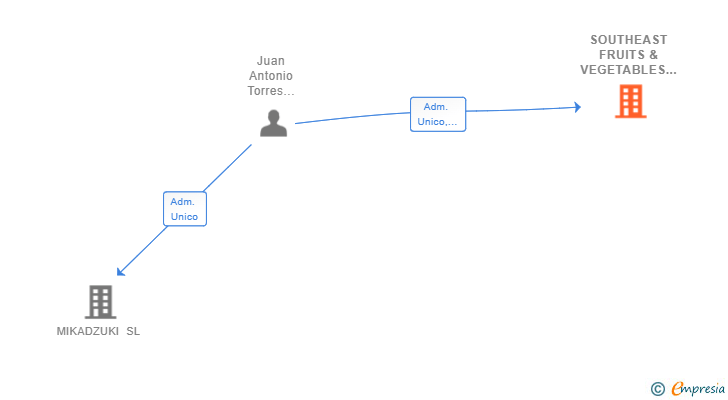 Vinculaciones societarias de SOUTHEAST FRUITS & VEGETABLES EXPORT SL