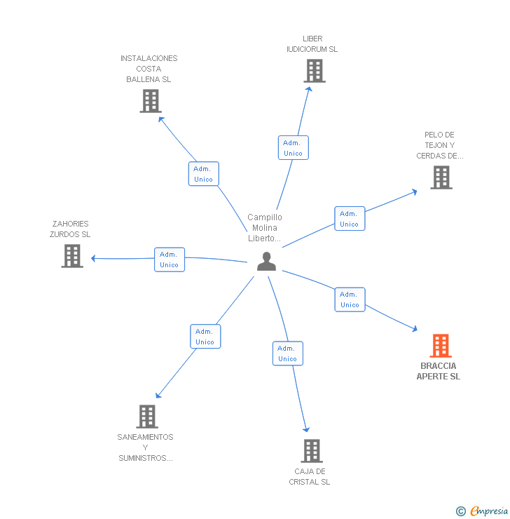 Vinculaciones societarias de BRACCIA APERTE SL