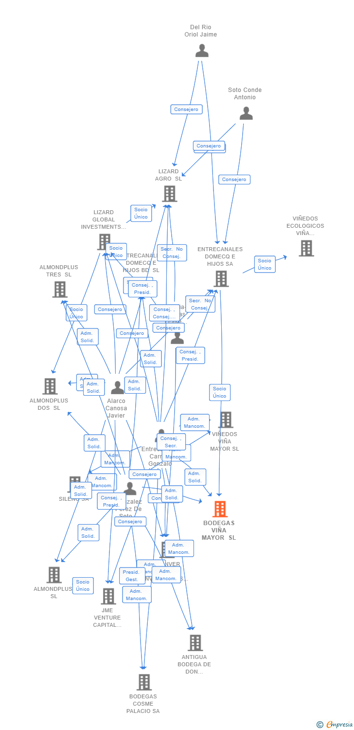Vinculaciones societarias de BODEGAS VIÑA MAYOR SL