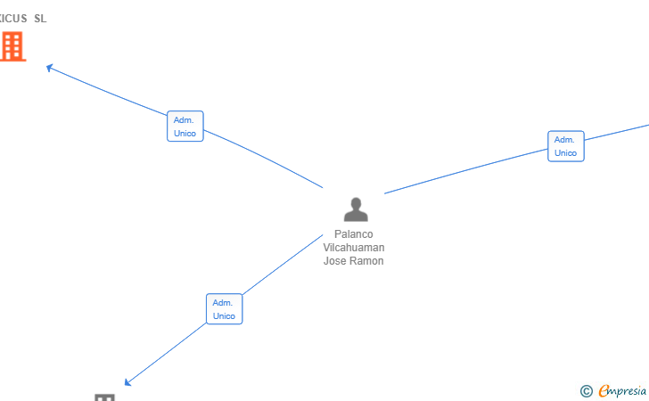 Vinculaciones societarias de PLEXICUS SL