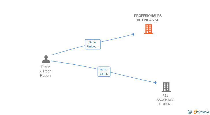 Vinculaciones societarias de PROFESIONALES DE FINCAS SL