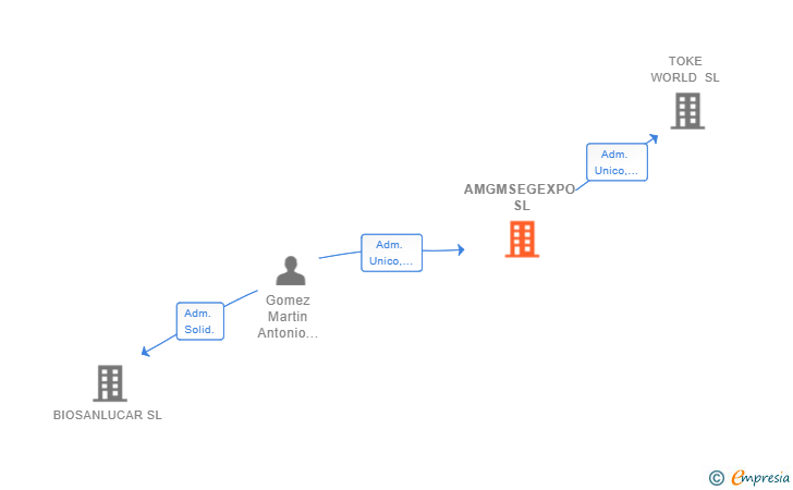 Vinculaciones societarias de AMGMSEGEXPO SL