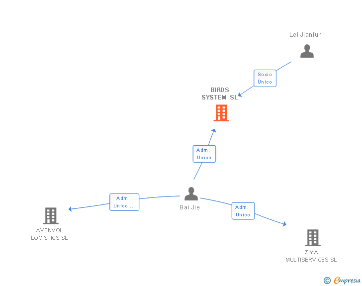Vinculaciones societarias de BIRDS SYSTEM SL