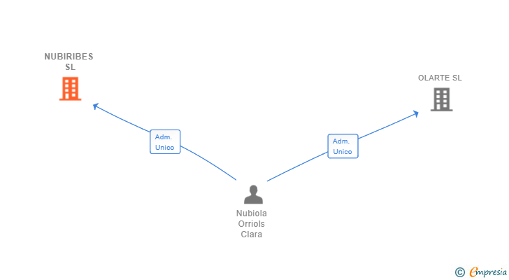 Vinculaciones societarias de NUBIRIBES SL