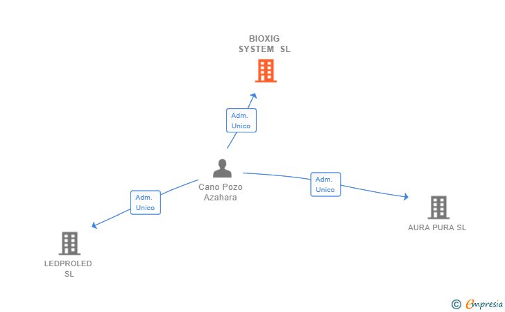 Vinculaciones societarias de BIOXIG SYSTEM SL
