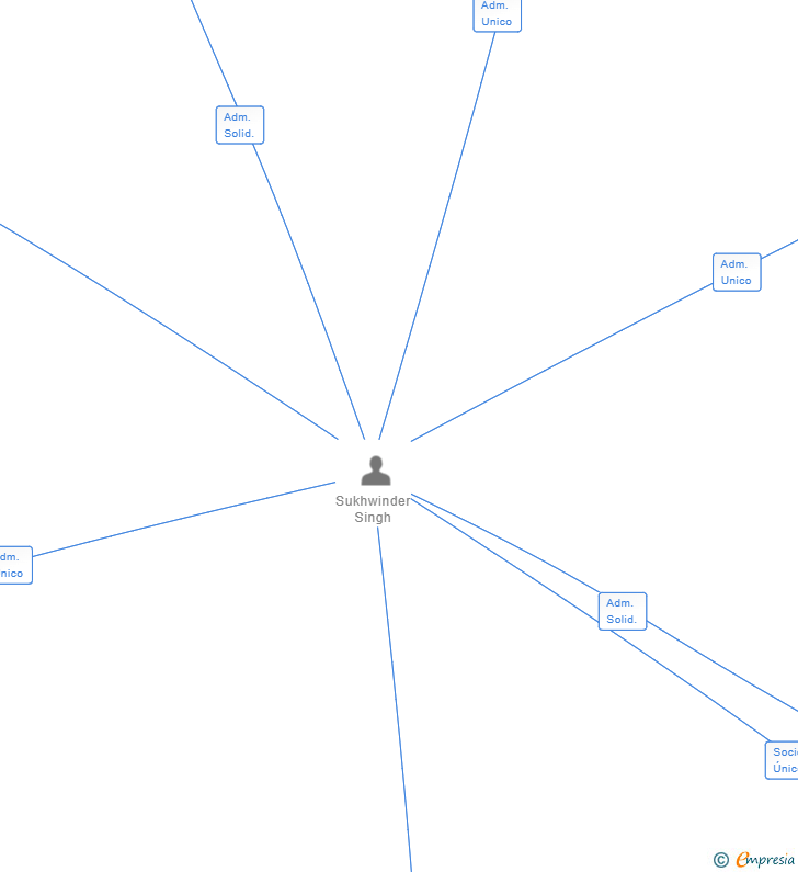 Vinculaciones societarias de PELIA PLAC SL