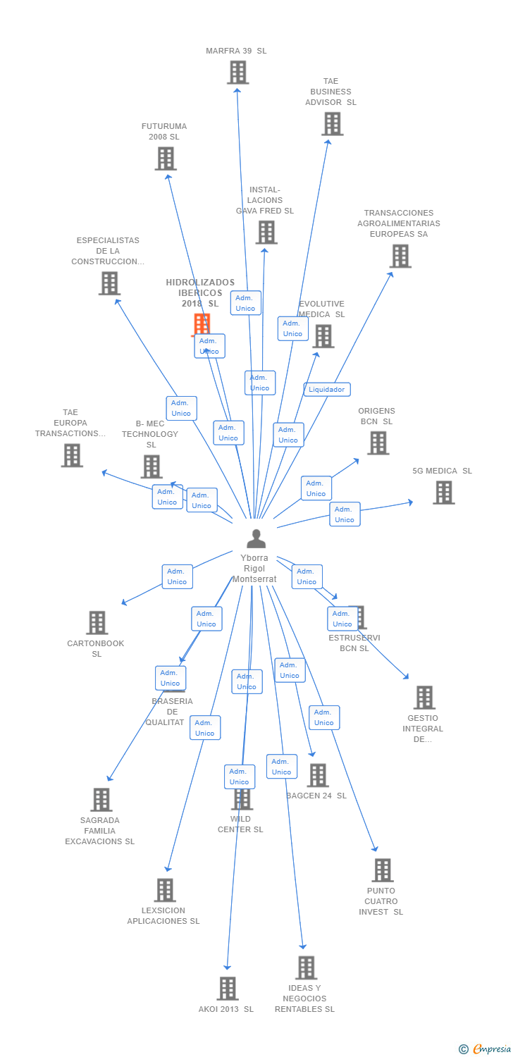 Vinculaciones societarias de HIDROLIZADOS IBERICOS 2018 SL
