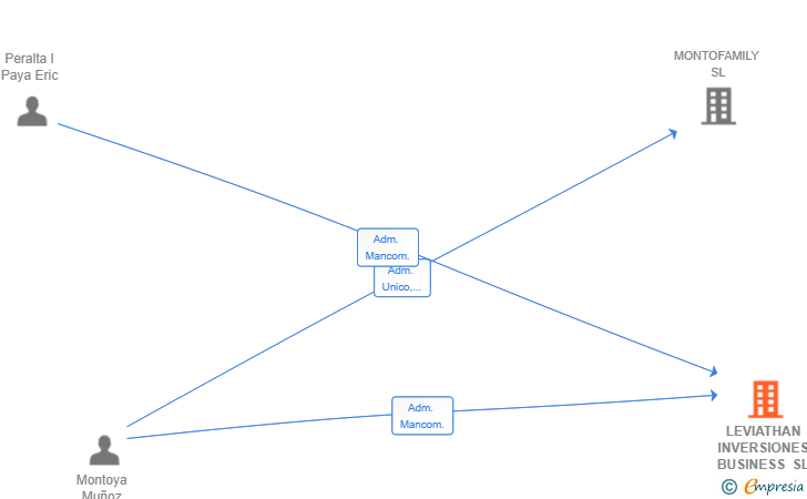Vinculaciones societarias de LEVIATHAN INVERSIONES BUSINESS SL