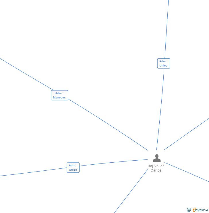 Vinculaciones societarias de 3 VILES PROPERTIES SL