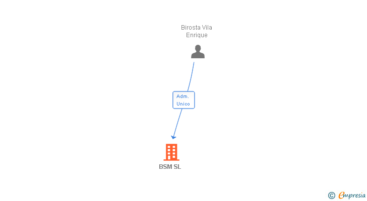 Vinculaciones societarias de BSM SL