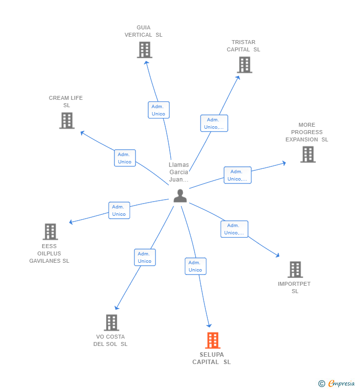 Vinculaciones societarias de SELUPA CAPITAL SL