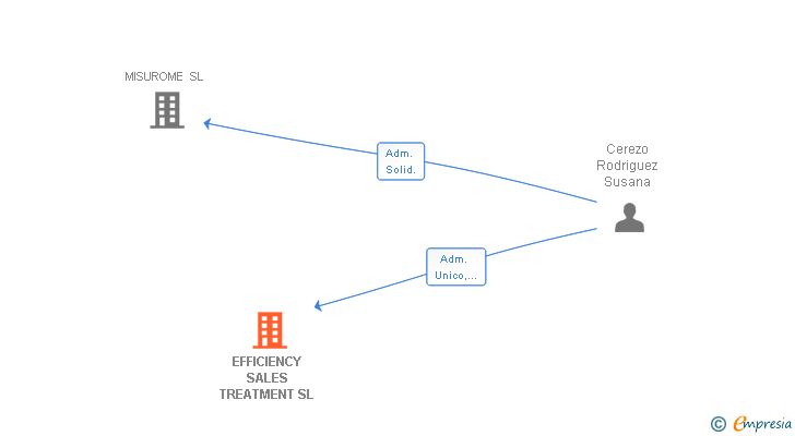 Vinculaciones societarias de EFFICIENCY SALES TREATMENT SL