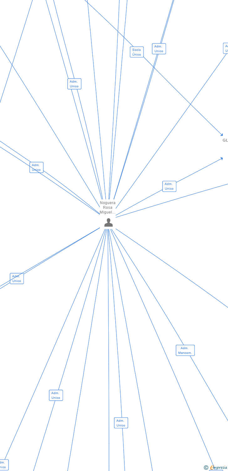Vinculaciones societarias de GSG GLOBAL SL