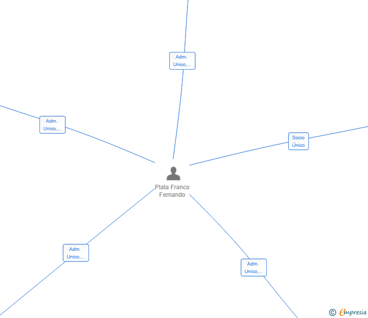 Vinculaciones societarias de SURGE MARKETS SL