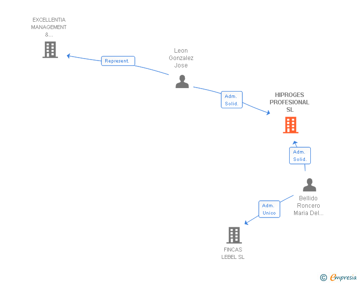 Vinculaciones societarias de HIPROGES PROFESIONAL SL