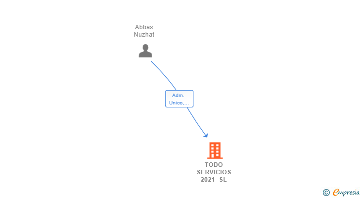 Vinculaciones societarias de TODO SERVICIOS 2021 SL