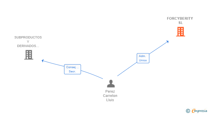 Vinculaciones societarias de FORCYBERITY SL