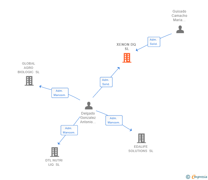 Vinculaciones societarias de XENON DQ SL