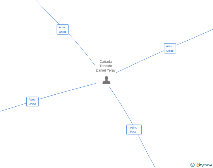 Vinculaciones societarias de LANZSOLUTIONS SL