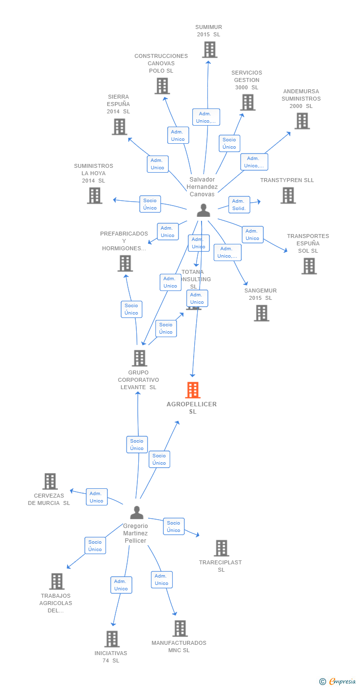 Vinculaciones societarias de AGROPELLICER SL
