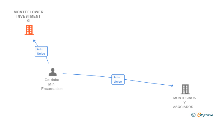 Vinculaciones societarias de MONTEFLOWER INVESTMENT SL