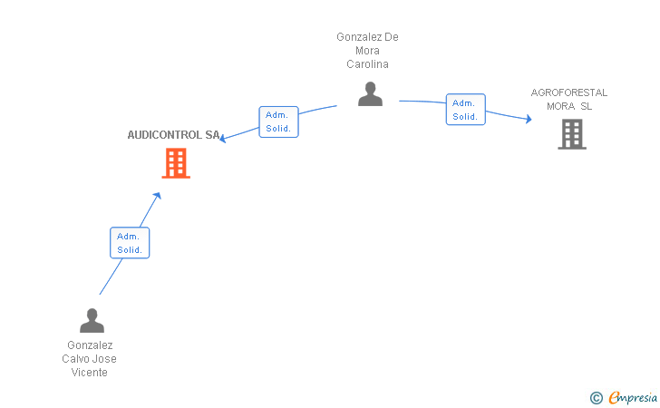 Vinculaciones societarias de AUDICONTROL SL