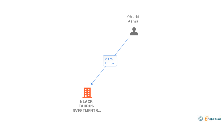 Vinculaciones societarias de BLACK TAURUS INVESTMENTS ETVE SL