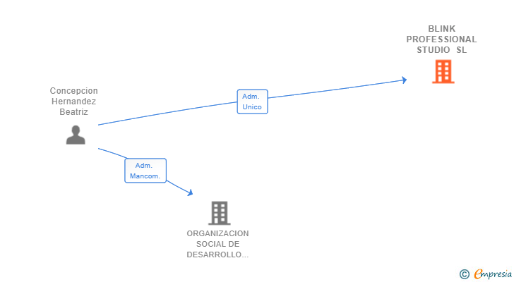 Vinculaciones societarias de BLINK PROFESSIONAL STUDIO SL