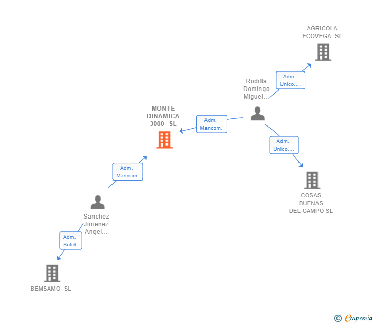 Vinculaciones societarias de MONTE DINAMICA 3000 SL