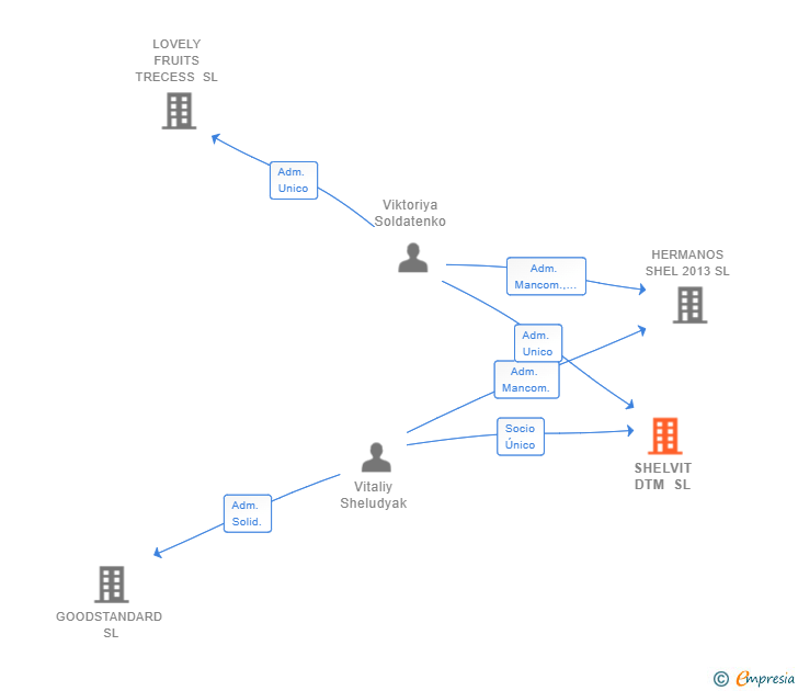 Vinculaciones societarias de SHELVIT DTM SL