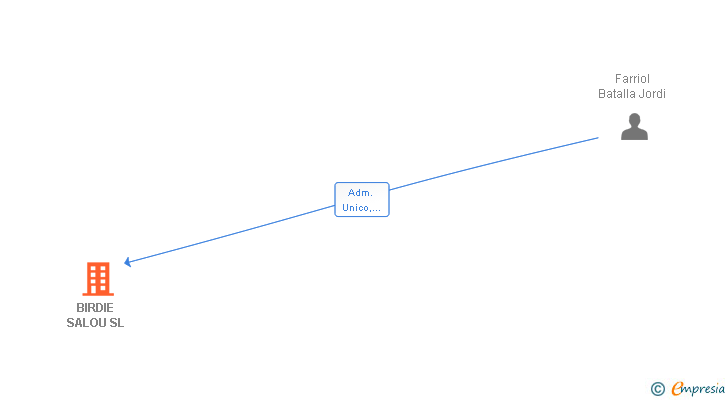 Vinculaciones societarias de BIRDIE SALOU SL