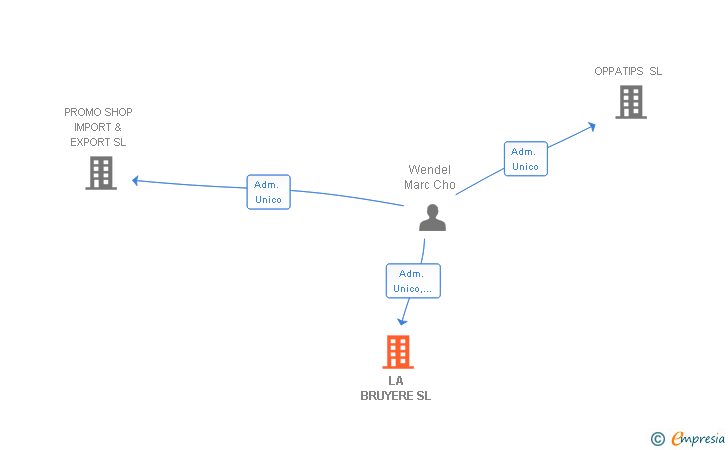 Vinculaciones societarias de LA BRUYERE SL