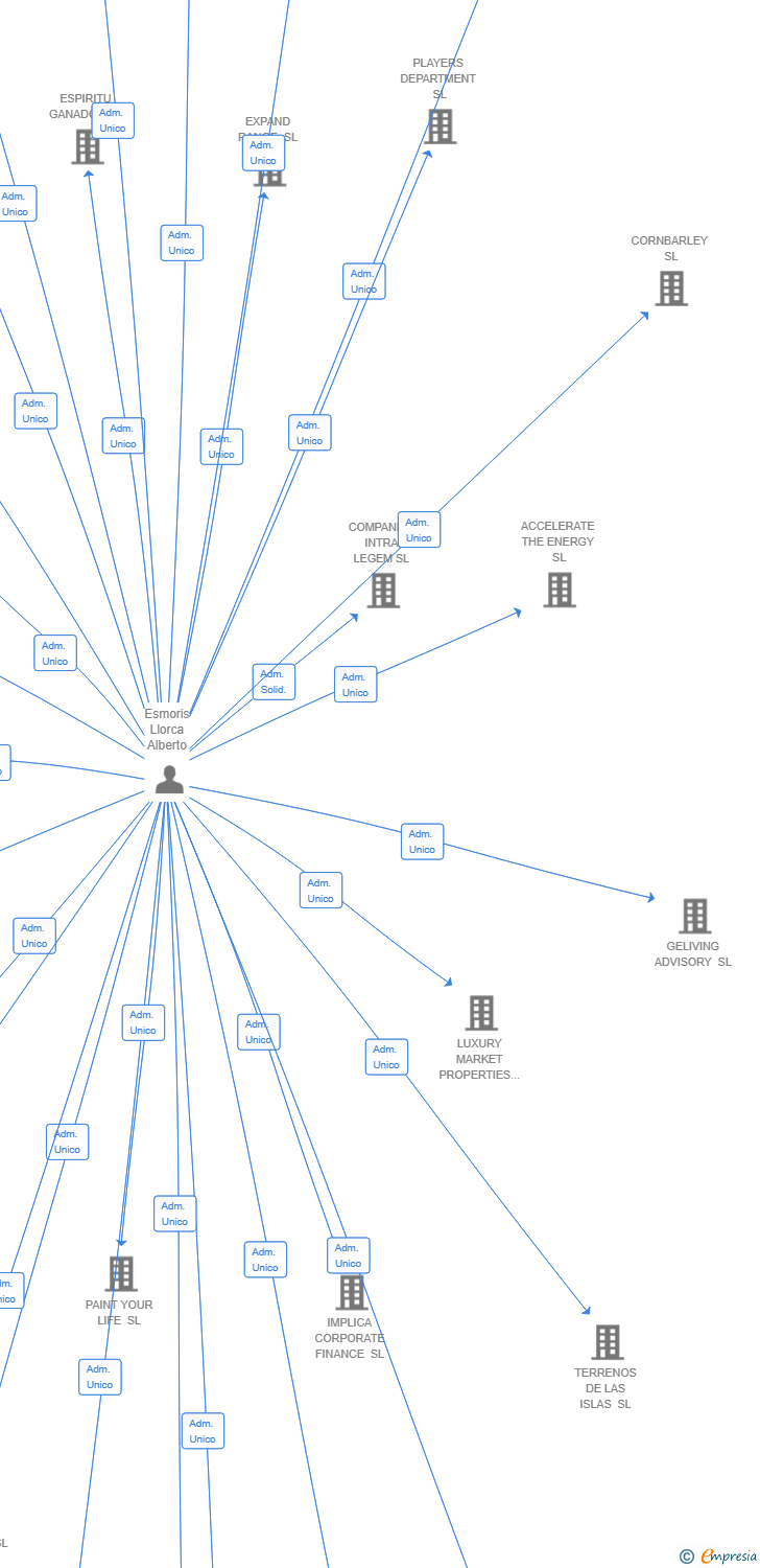 Vinculaciones societarias de DIGITAL PLATFORM SOLUTIONS SL