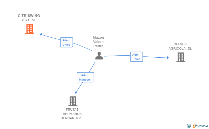 Vinculaciones societarias de CITRISWING 2021 SL