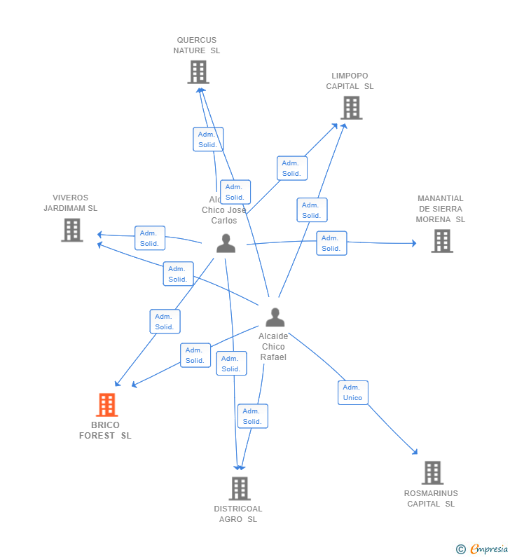 Vinculaciones societarias de BRICO FOREST SL
