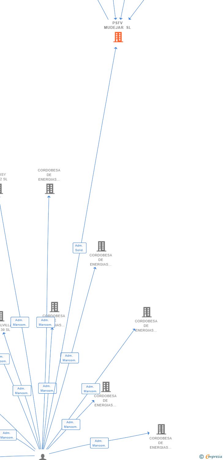 Vinculaciones societarias de PSFV MUDEJAR SL
