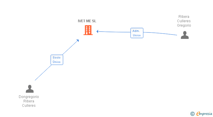 Vinculaciones societarias de IVET ME SL