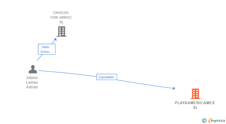 Vinculaciones societarias de PLAYAAMERICAMEX SL