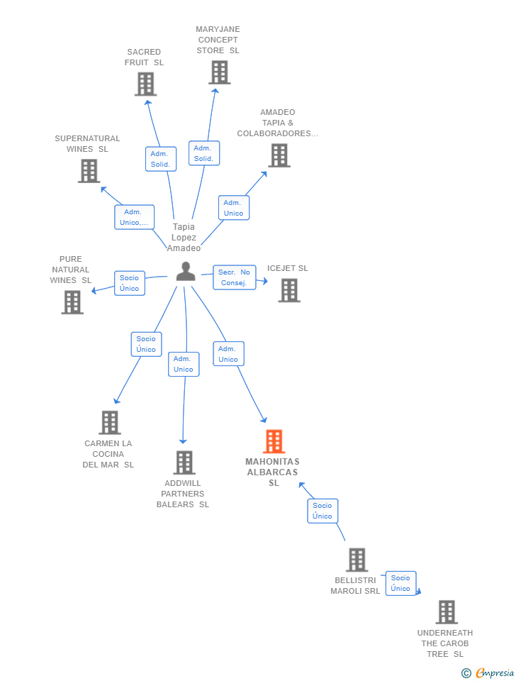 Vinculaciones societarias de MAHONITAS ALBARCAS SL