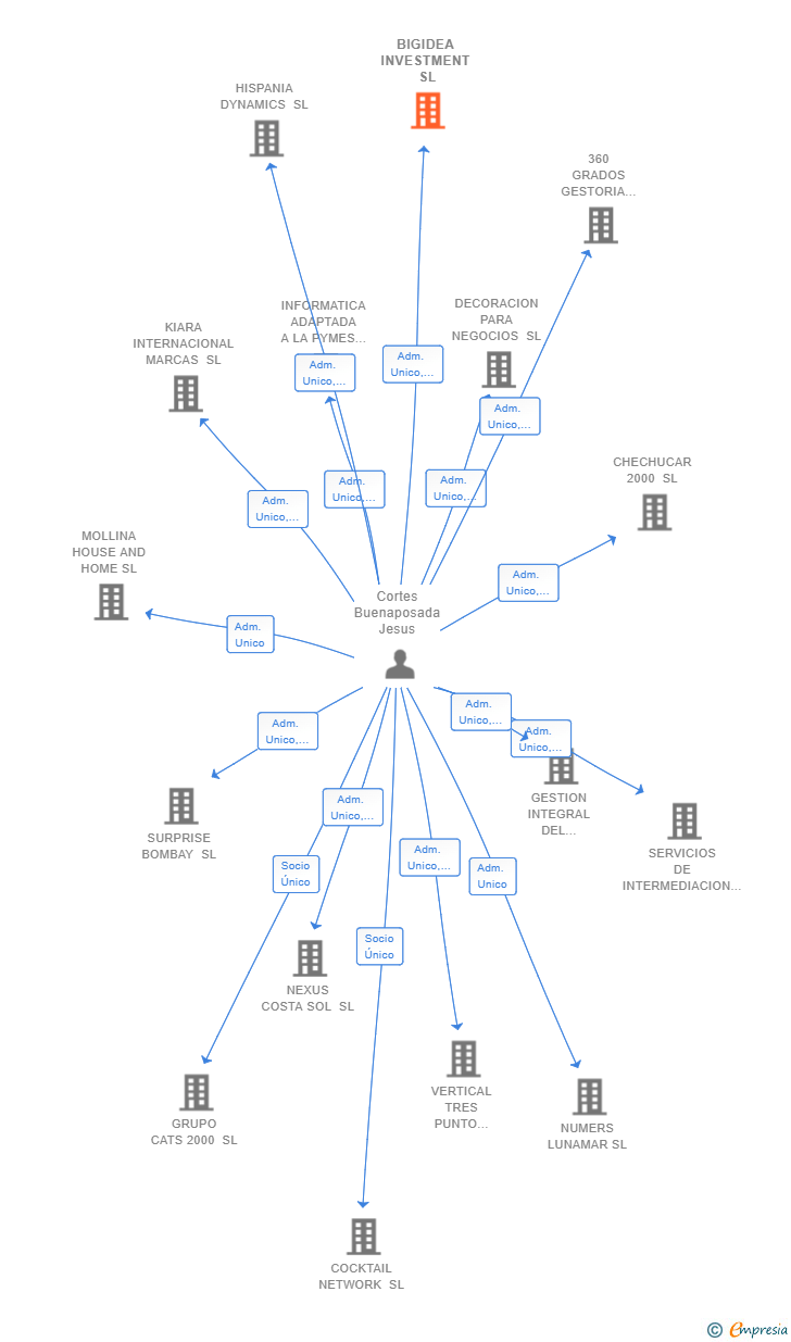 Vinculaciones societarias de BIGIDEA INVESTMENT SL