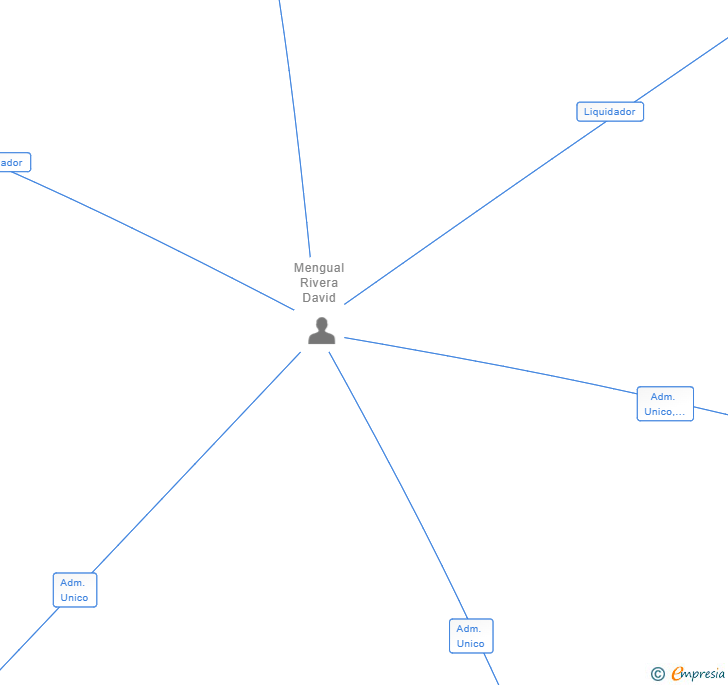 Vinculaciones societarias de DAMERI INVESTMENT GROUP SL