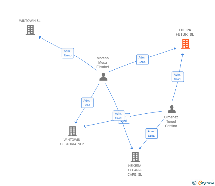 Vinculaciones societarias de TULIPA FUTUR SL
