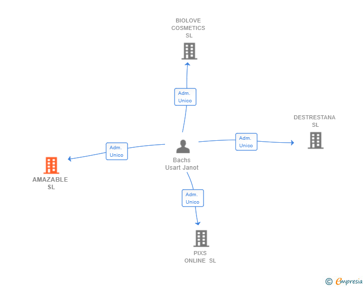 Vinculaciones societarias de AMAZABLE SL
