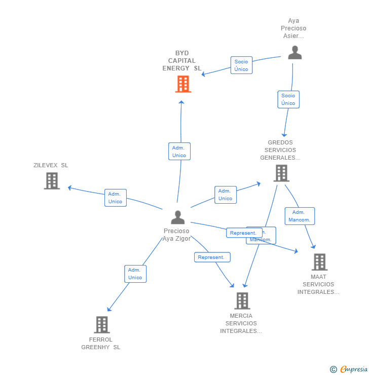 Vinculaciones societarias de BYD CAPITAL ENERGY SL