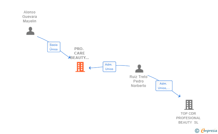 Vinculaciones societarias de PRO. CARE BEAUTY SUPPLY SL