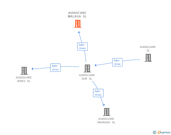 Vinculaciones societarias de AUDIOCARE MALAGA SL