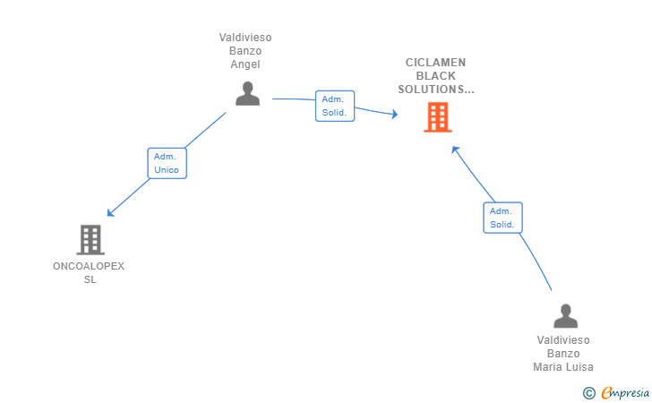 Vinculaciones societarias de CICLAMEN BLACK SOLUTIONS SL