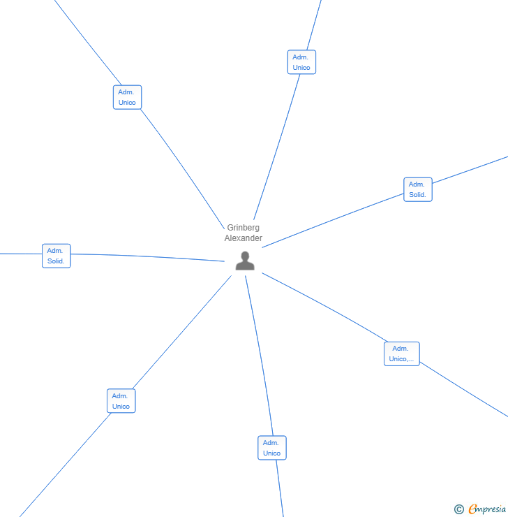 Vinculaciones societarias de GRINBERG HOLDINGS SL