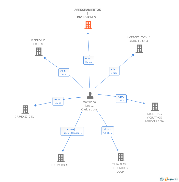 Vinculaciones societarias de ASESORAMIENTOS E INVERSIONES MONTI SL