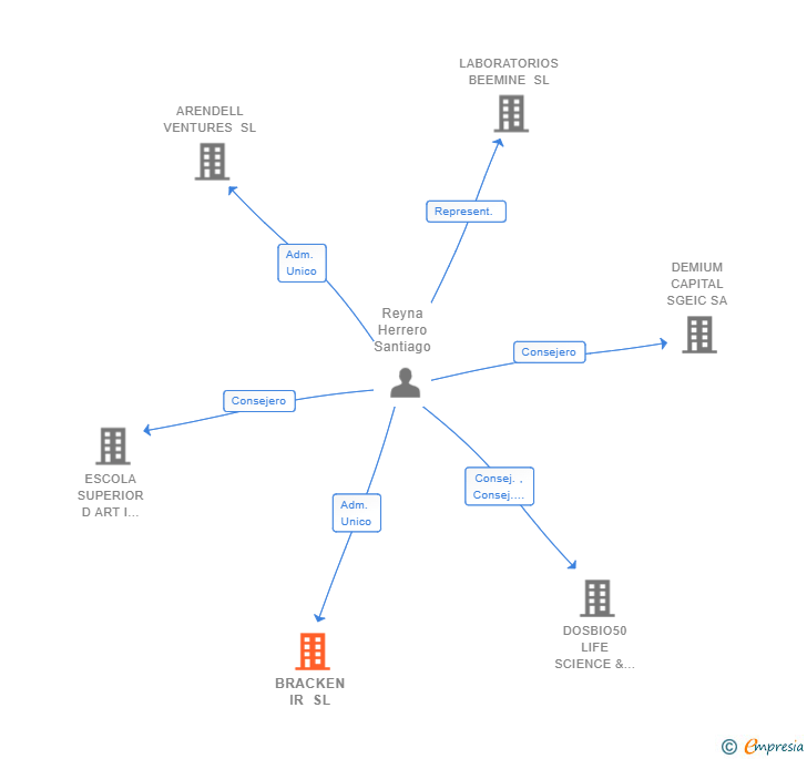 Vinculaciones societarias de BRACKEN IR SL